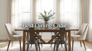 Best Dining Chairs