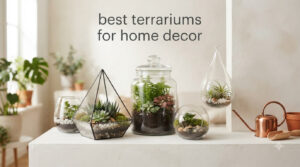 best terrariums for home decor