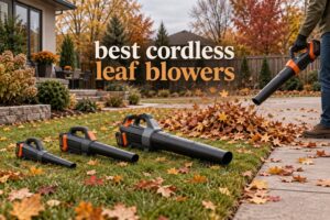 best cordless leaf blowers