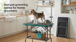 best pet grooming tables for home groomers
