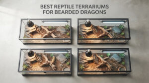 best reptile terrariums for bearded dragons
