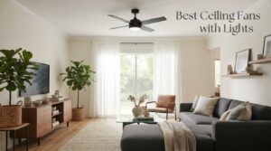 Best Ceiling Fans with Lights