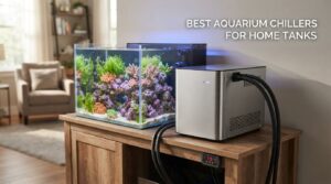best aquarium chillers for home tanks