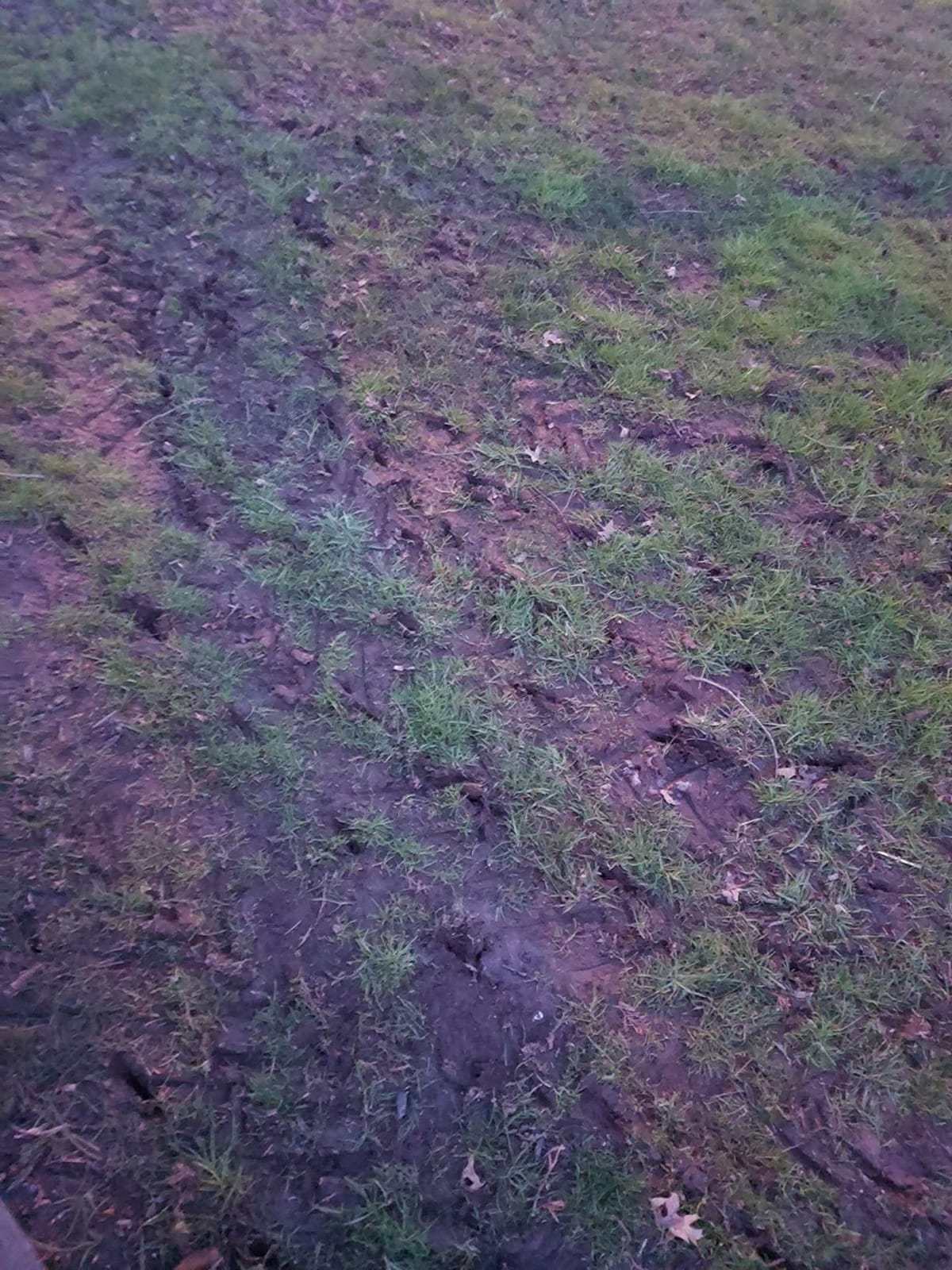Agri-Fab 40 In Tow Behind Lawn Plug Aerator with 24 Galvanized Coring Knives and Universal Hitch customer photo 2