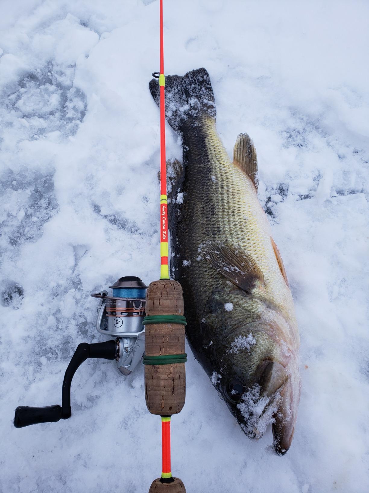 Pflueger MONICEB Monarch Ice Spinning Reel customer photo 2