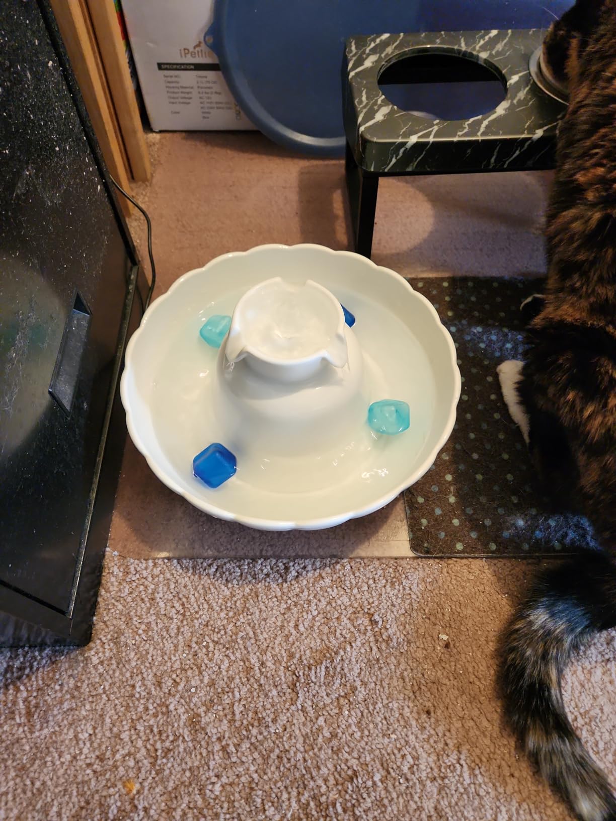 iPettie Tritone Ceramic Cat Water Fountain, Heavy-Duty Waterer for Pets customer photo 2