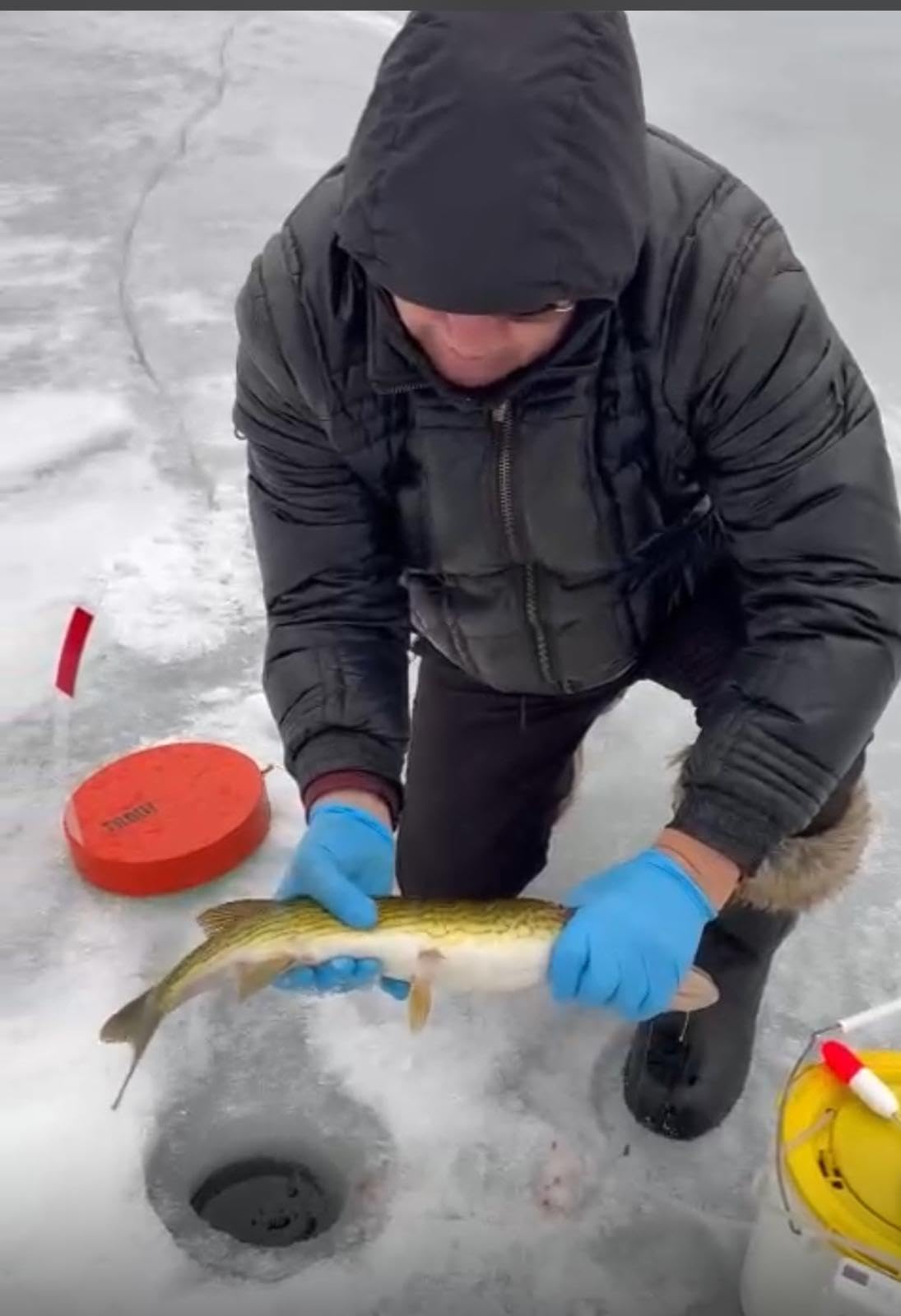 Fishing Tip-Up All Seasons customer photo 1