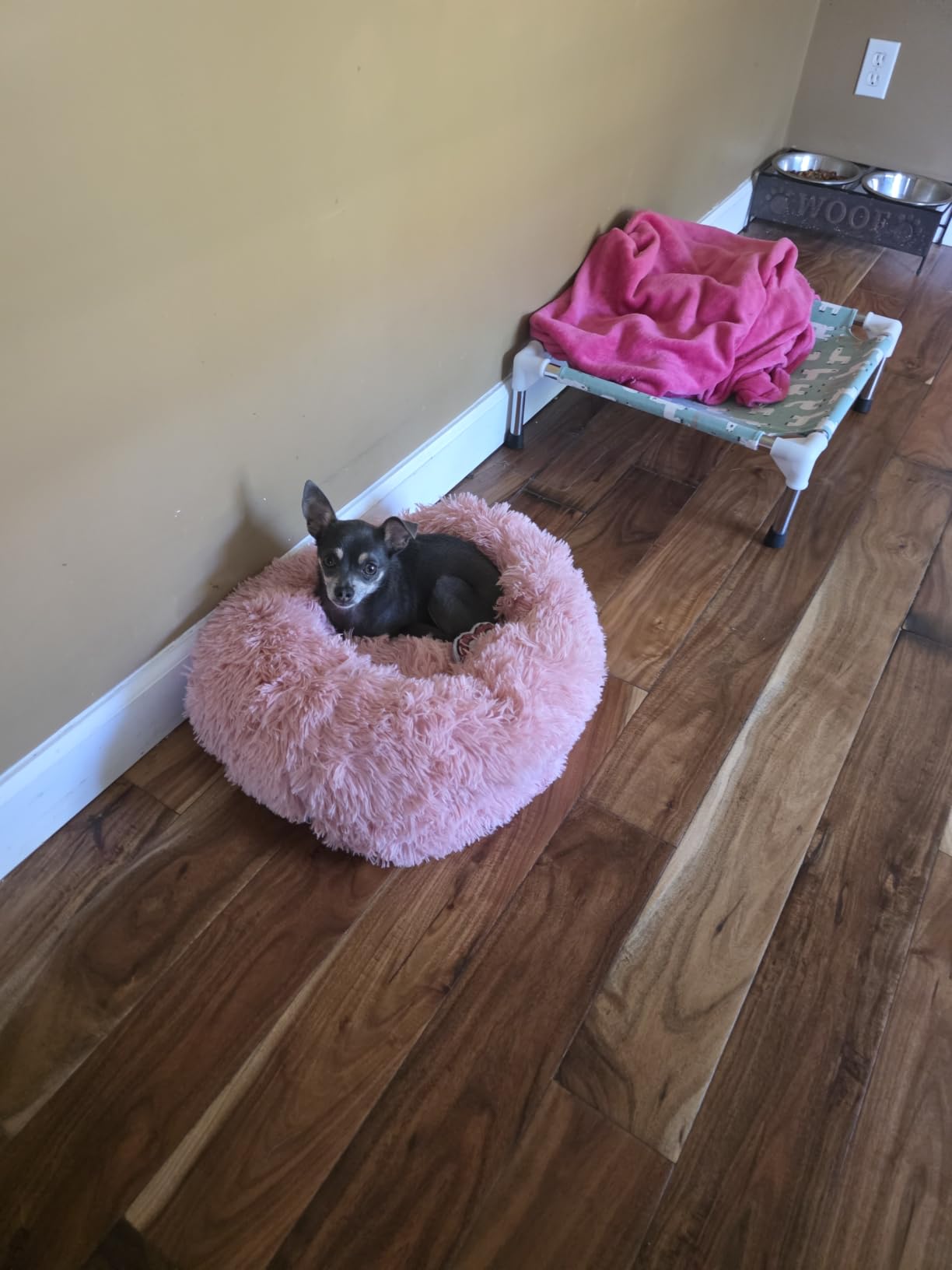 Small Calming Dogs Bed for Small Dogs Anti-Anxiety Machine Washable Fluffy Luxury Anti-Slip Waterproof Mute Base Warming Cozy Soft Pet Puppy Round Bed customer photo 1