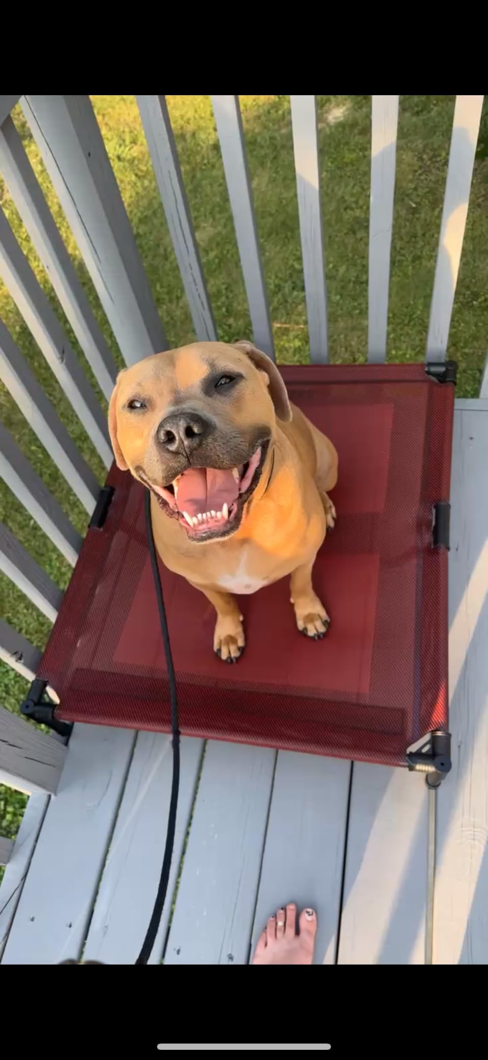 suddus Elevated Dog Bed for Large Dogs 120lb, Breathable Cooling Raised Dog Cot with Dual Support Bars & Metal Frame, No-Slip Feet, Waterproof Pet Bed for Indoor/Outdoor, X-Large, 48 * 36 * 9in, Grey customer photo 1