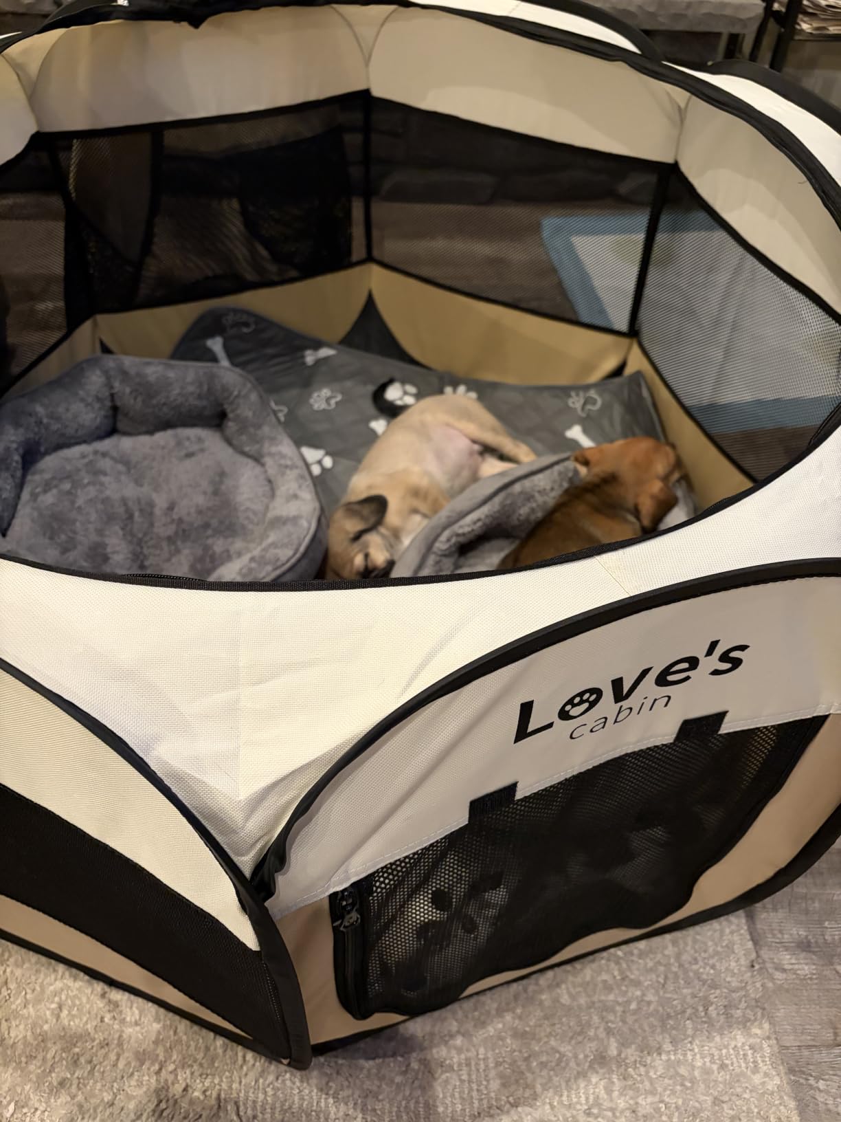 Asvin Small Dog Bed for Small Dogs, Cat Beds for Indoor Cats, Pet Bed for Puppy and Kitty, Extra Soft & Machine Washable with Anti-Slip & Water-Resistant Oxford Bottom, Grey, 20 inches customer photo 2