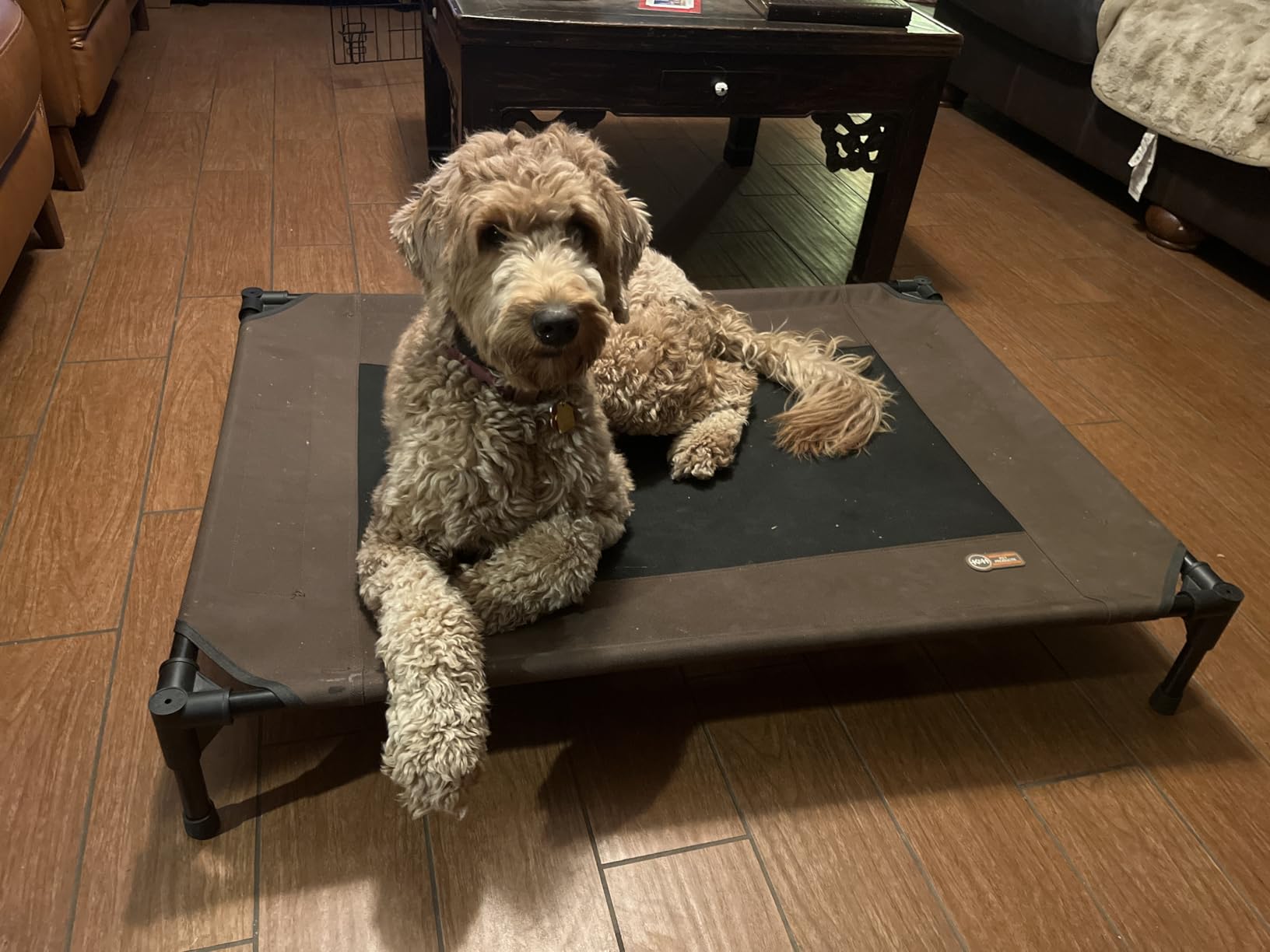 K&H Outdoor Elevated Dog Bed, Cooling Raised Dog Bed, Large 42x30in, Tan customer photo 1