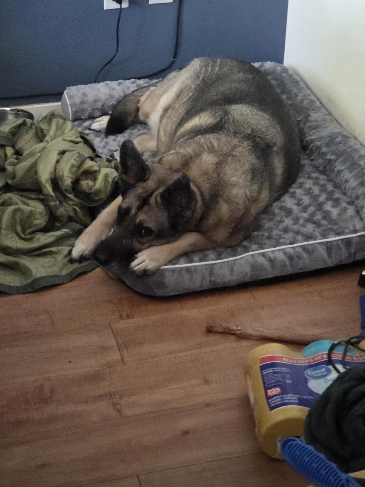 BFPETHOME Orthopedic Washable Dog Bed, Sleeping Couch for Large Senior Dogs customer photo 1