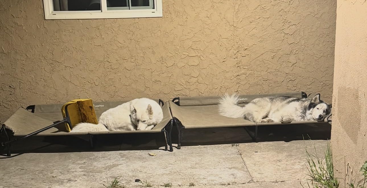 Veehoo Cooling Elevated Dog Bed, Raised Dog Cot with Guardrail & Headrest customer photo 1