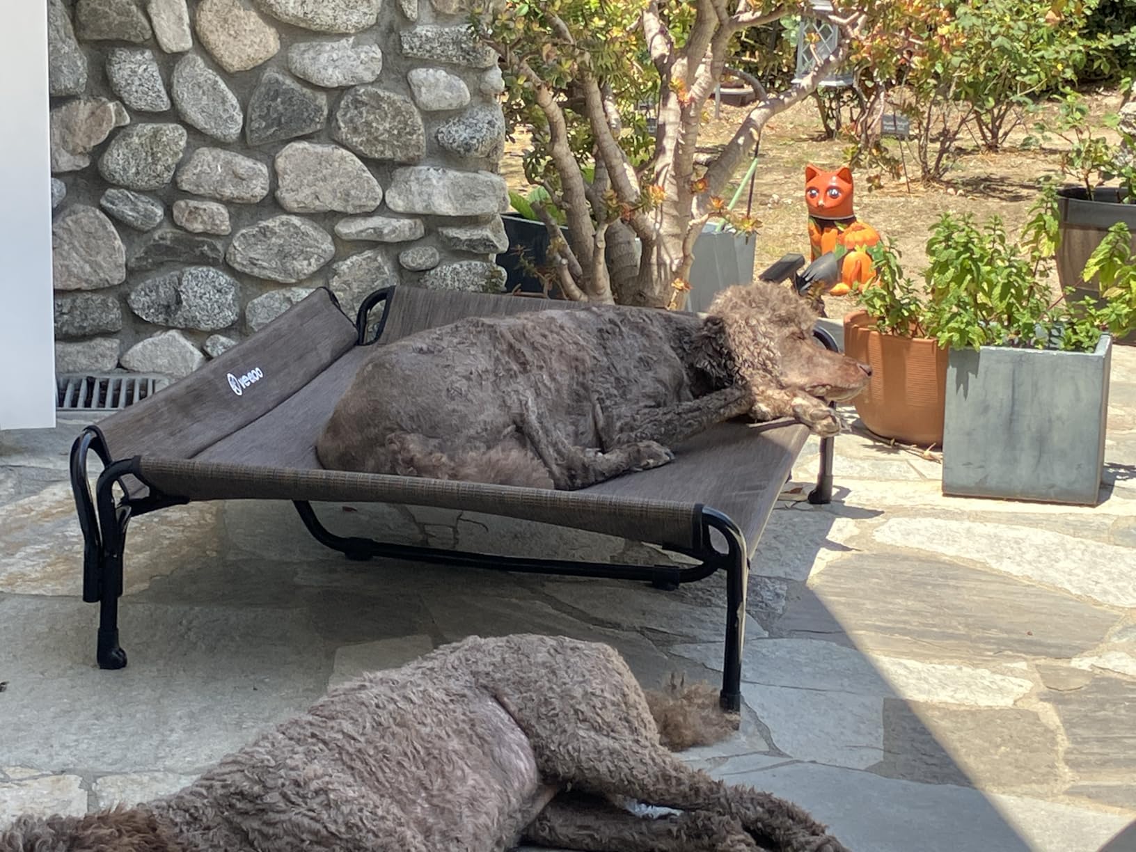 Veehoo Cooling Elevated Dog Bed, Raised Dog Cot with Guardrail & Headrest customer photo 2