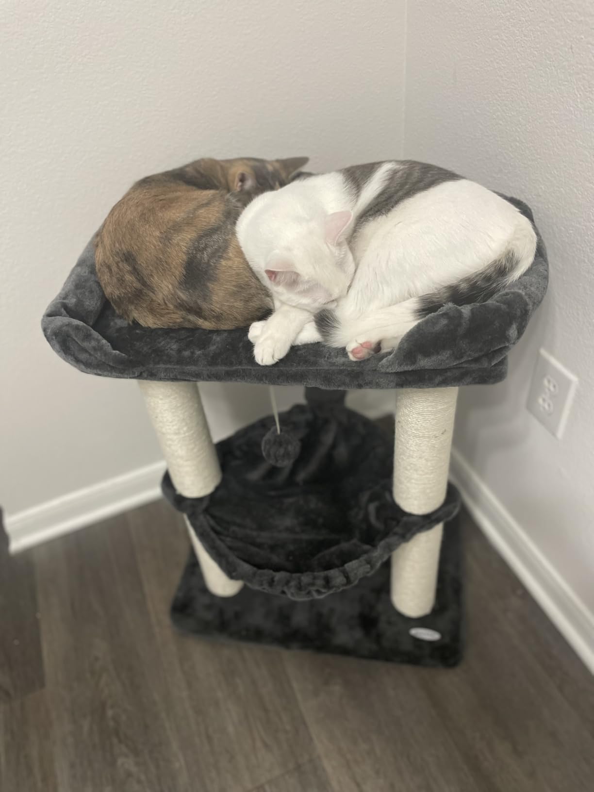 Happi N Pets Cat Tree, Cat Scratching Posts with Large Bed for Big Cats customer photo 2