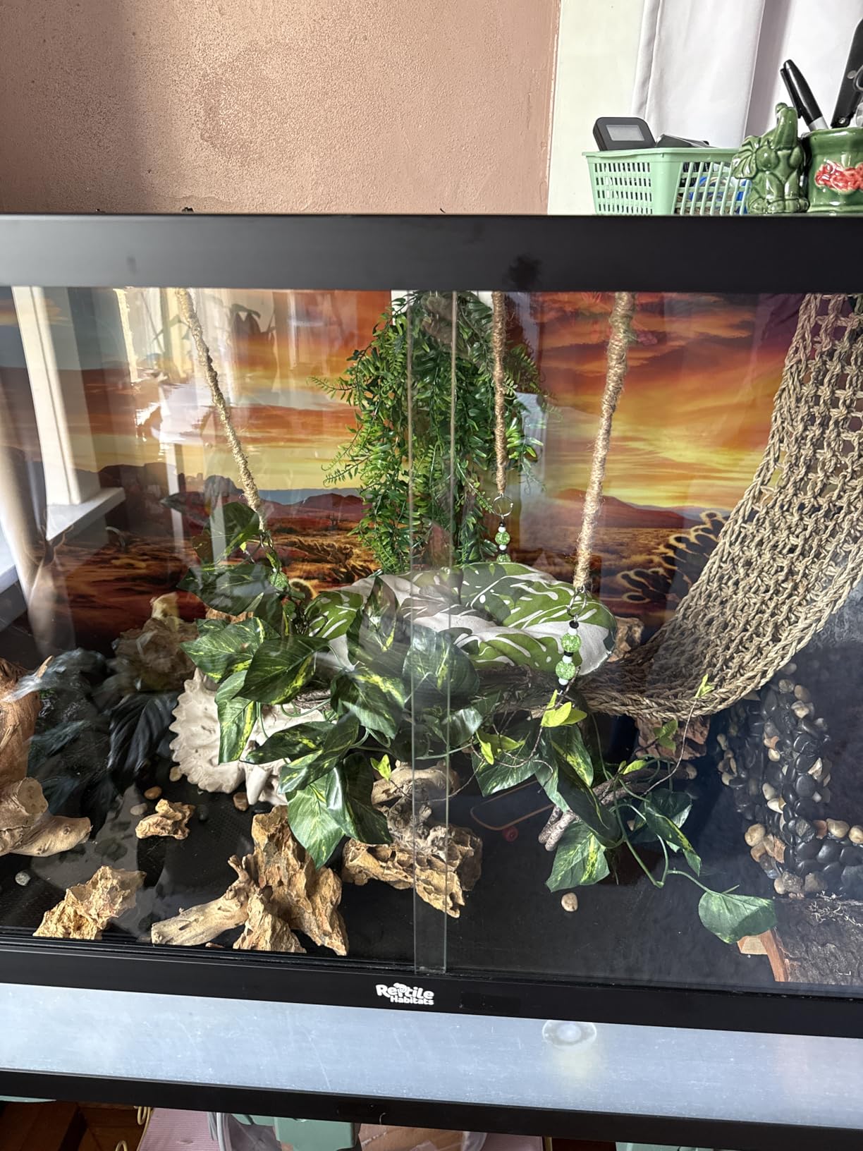 Reptile Habitats 5x2x2 (150 Gallon) Reptile Enclosure V3, Features PVC Panels, Glass Doors, Lightweight, Easy to Assemble, Heavy Duty Screen, Aluminum Frame customer photo 1