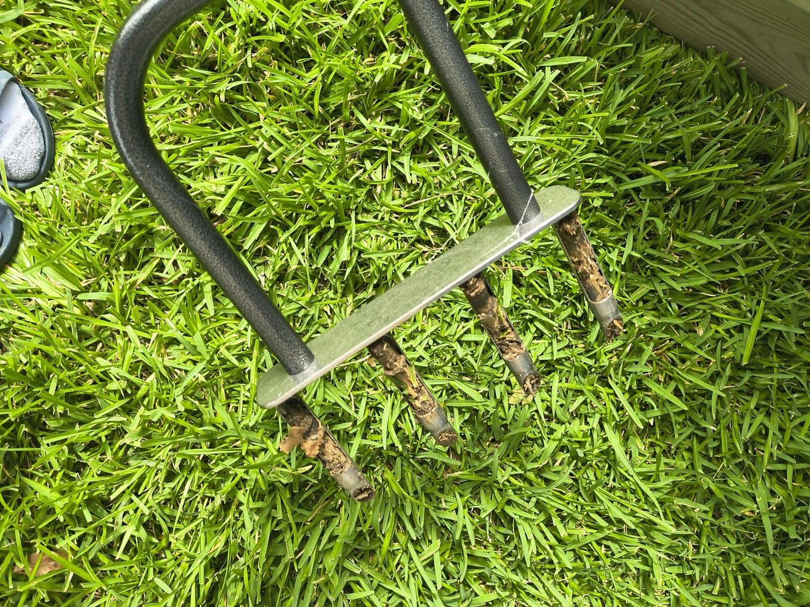 Dolibest Manual Aerator Lawn Tool, Manual Yard Plug Aerators with 4 Stainless Steel Semi-Open Plugs, Pre-Assembled Manual Grass Aerating Tool & Clean Hand Tool, Improving Lawn Health -37Inch customer photo 1