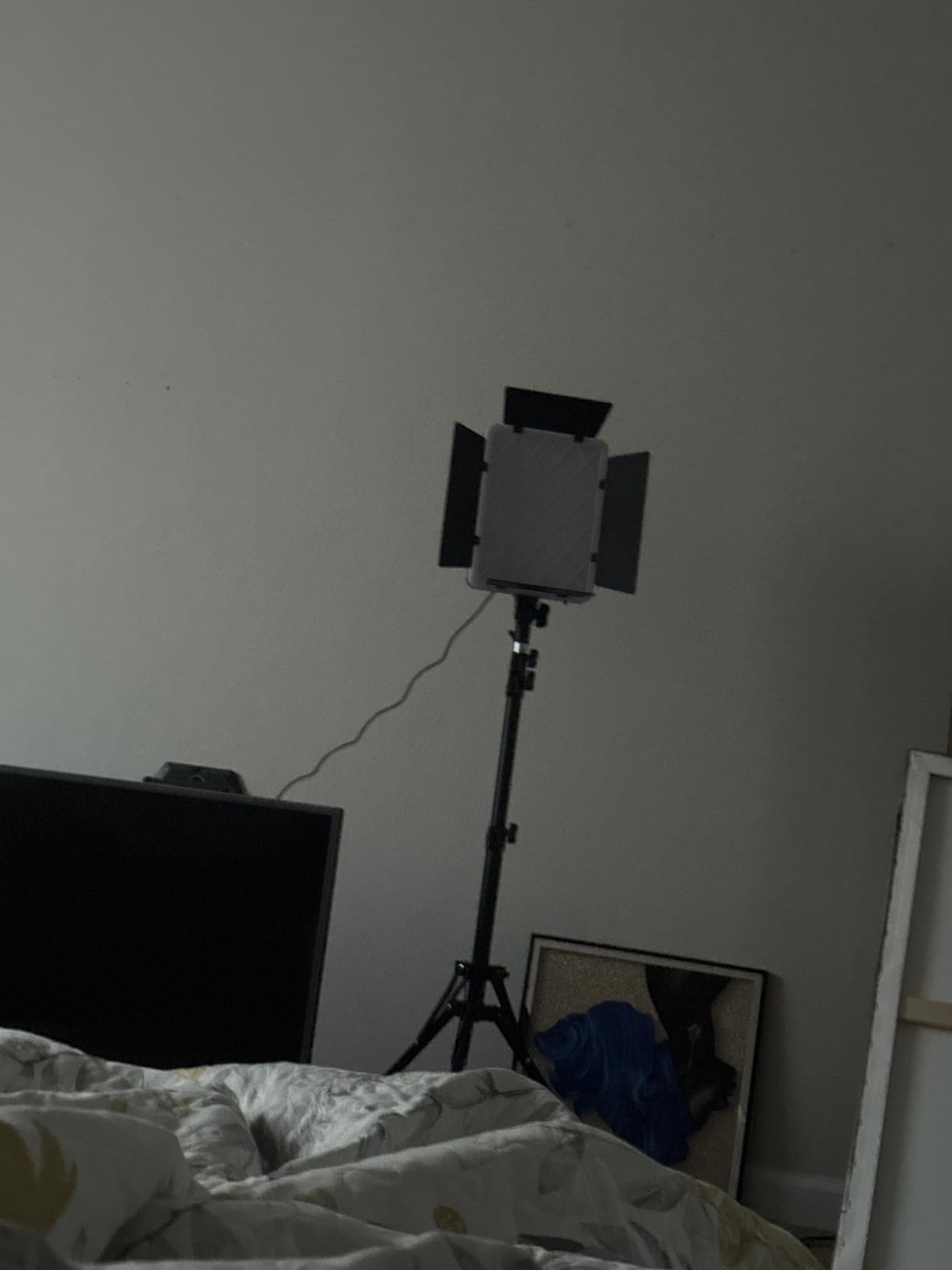 NiceVeedi 36W Photography Lighting, Bi-Color Studio Light, CRI 95+, Dimmable AC Adapter Powered LED Video Light Kit with Remote Control & 72” Tripod, Light for Video Recording/YouTube/TikTok/Ins customer photo 2