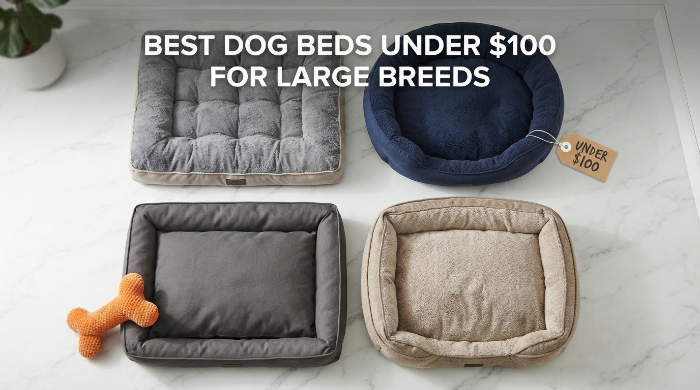 best dog beds under $100 for large breeds