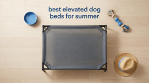 best elevated dog beds for summer